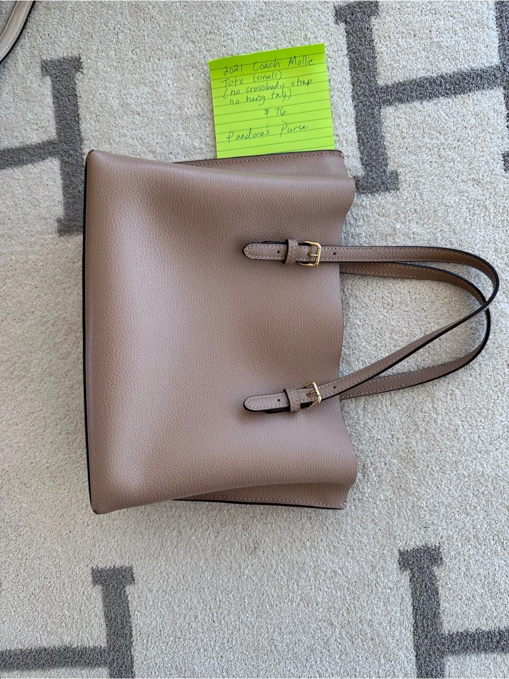 Coach Pebble Leather 2021 Mollie tote small